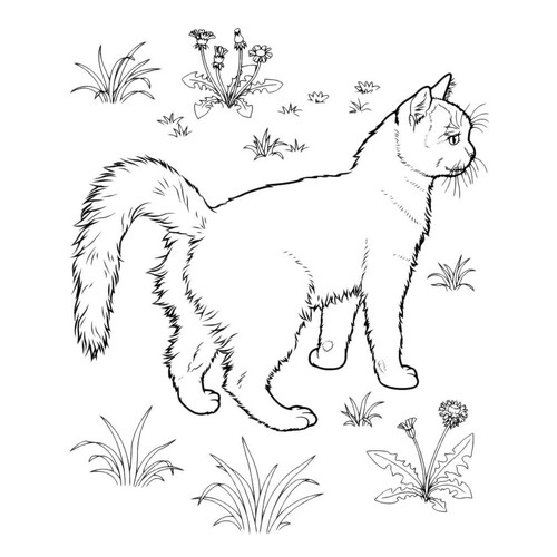 Página para colorear: Gato en el prado dibujo para colorear gratis de Páginas para colorear de gatos, gatas y gatitos