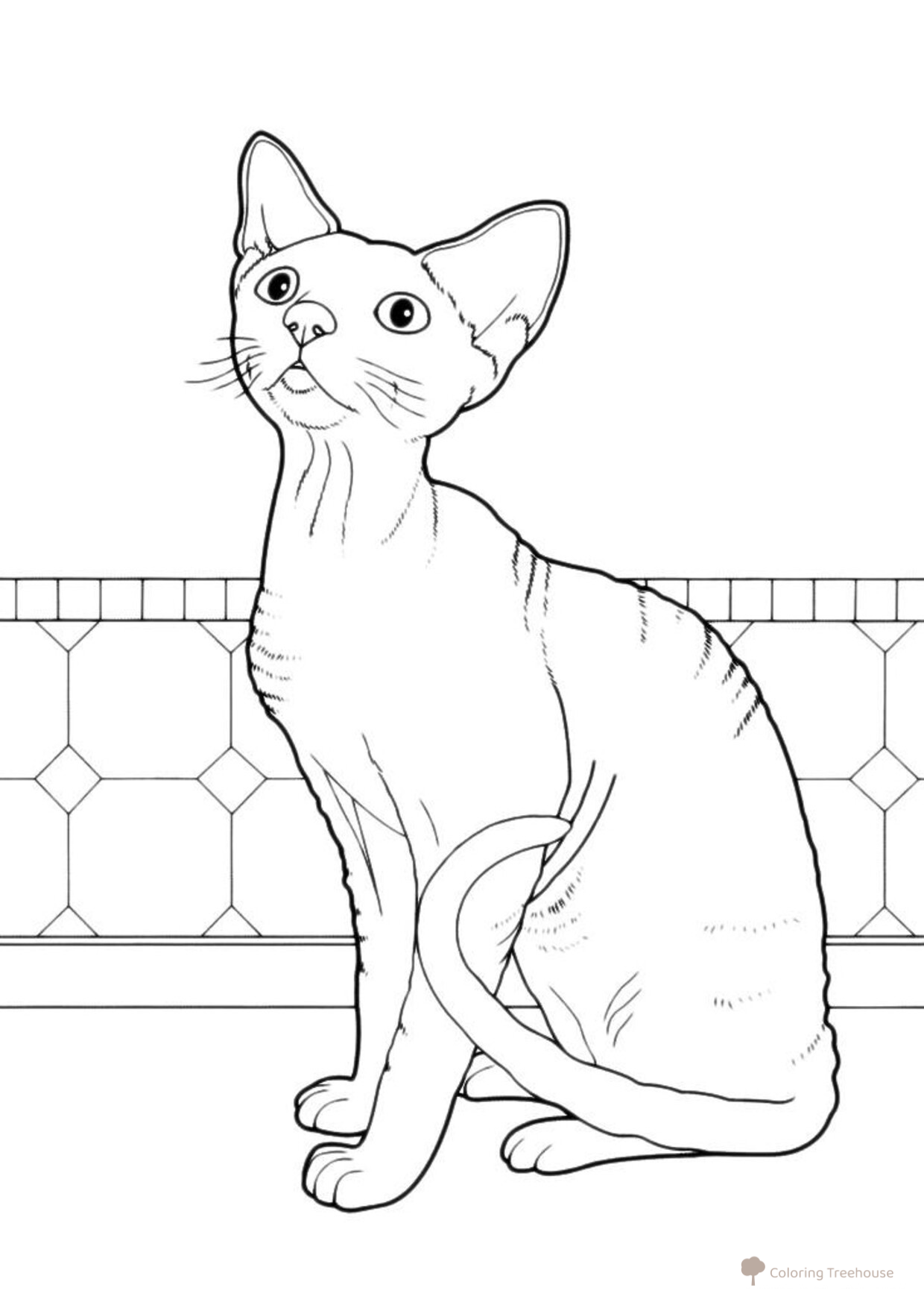 Página para colorear: Gato pidiendo comida dibujo para colorear gratis de Páginas para colorear de gatos, gatas y gatitos