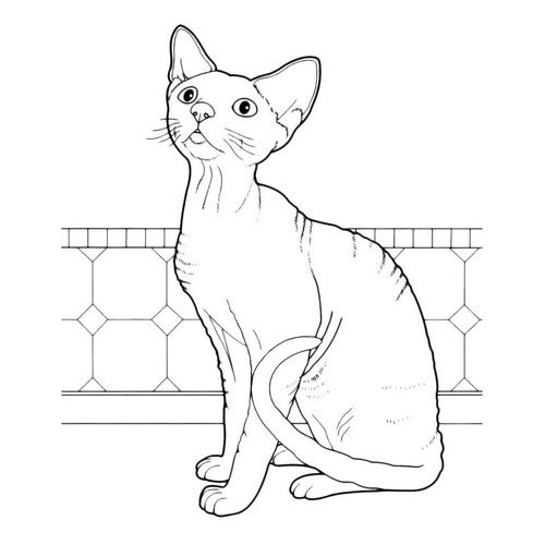 Página para colorear: Gato pidiendo comida dibujo para colorear gratis de Páginas para colorear de gatos, gatas y gatitos