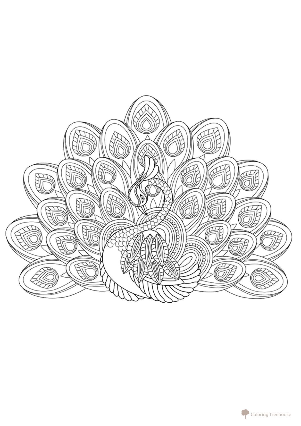 Elegant Peacock Coloring Page free printable Advanced Animal, Bird, Fish, and Insect Coloring Pages coloring page