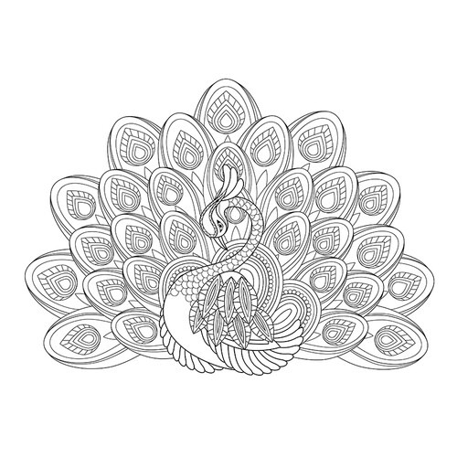 Elegant Peacock Coloring Page free printable Advanced Animal, Bird, Fish, and Insect Coloring Pages coloring page