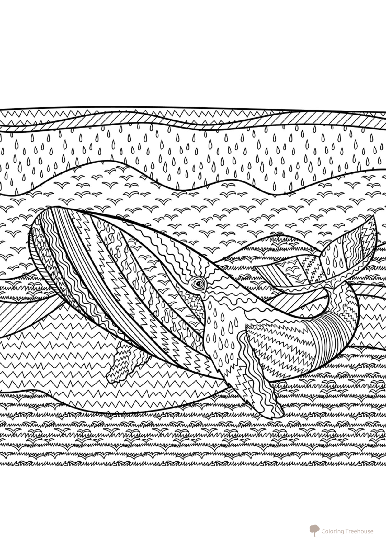 Humpback Whale Coloring Page free printable Advanced Animal, Bird, Fish, and Insect Coloring Pages coloring page