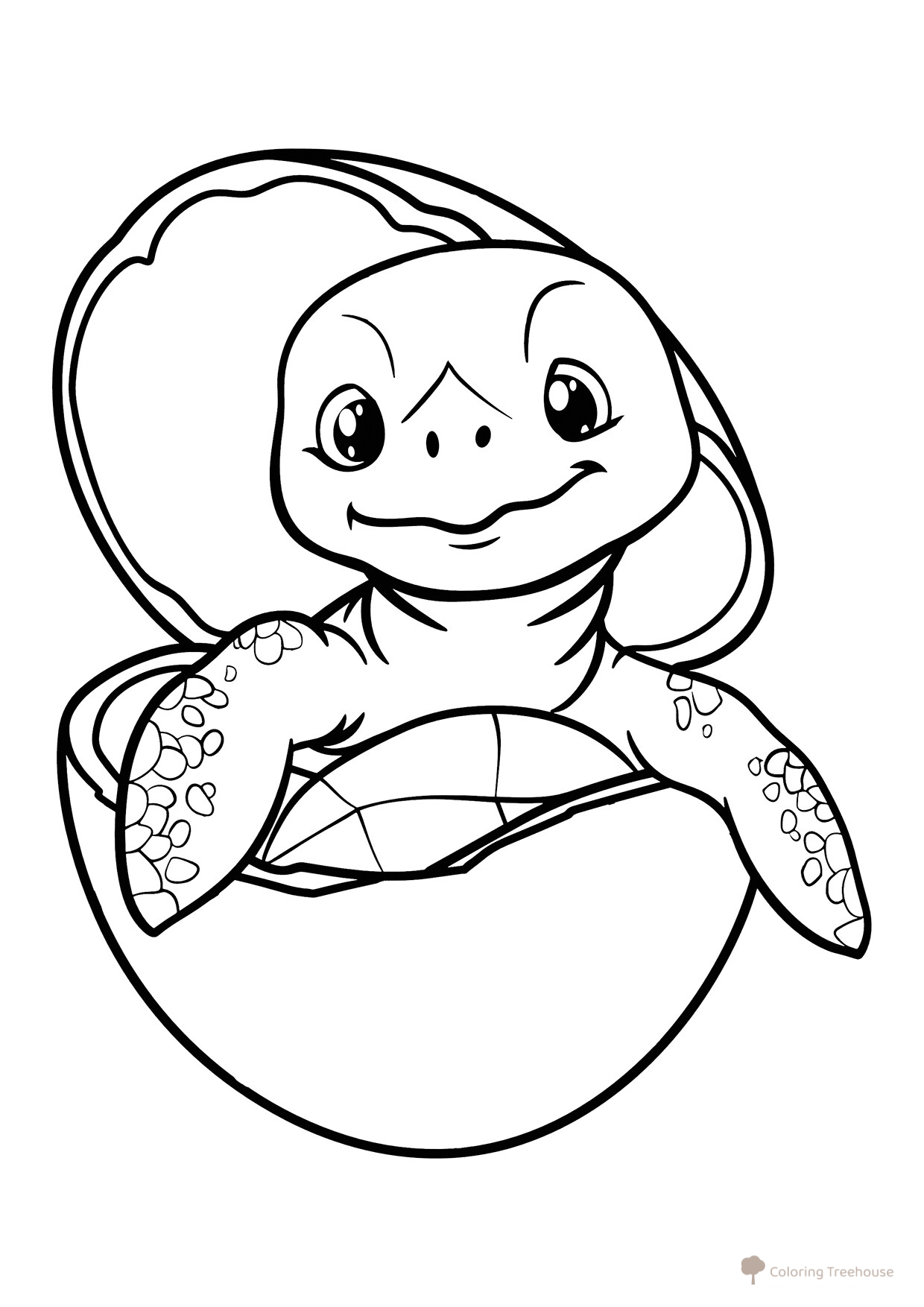 Página para colorear «Tortuguita ha salido del cascarón» dibujo para colorear gratis de Páginas para colorear de tortugas