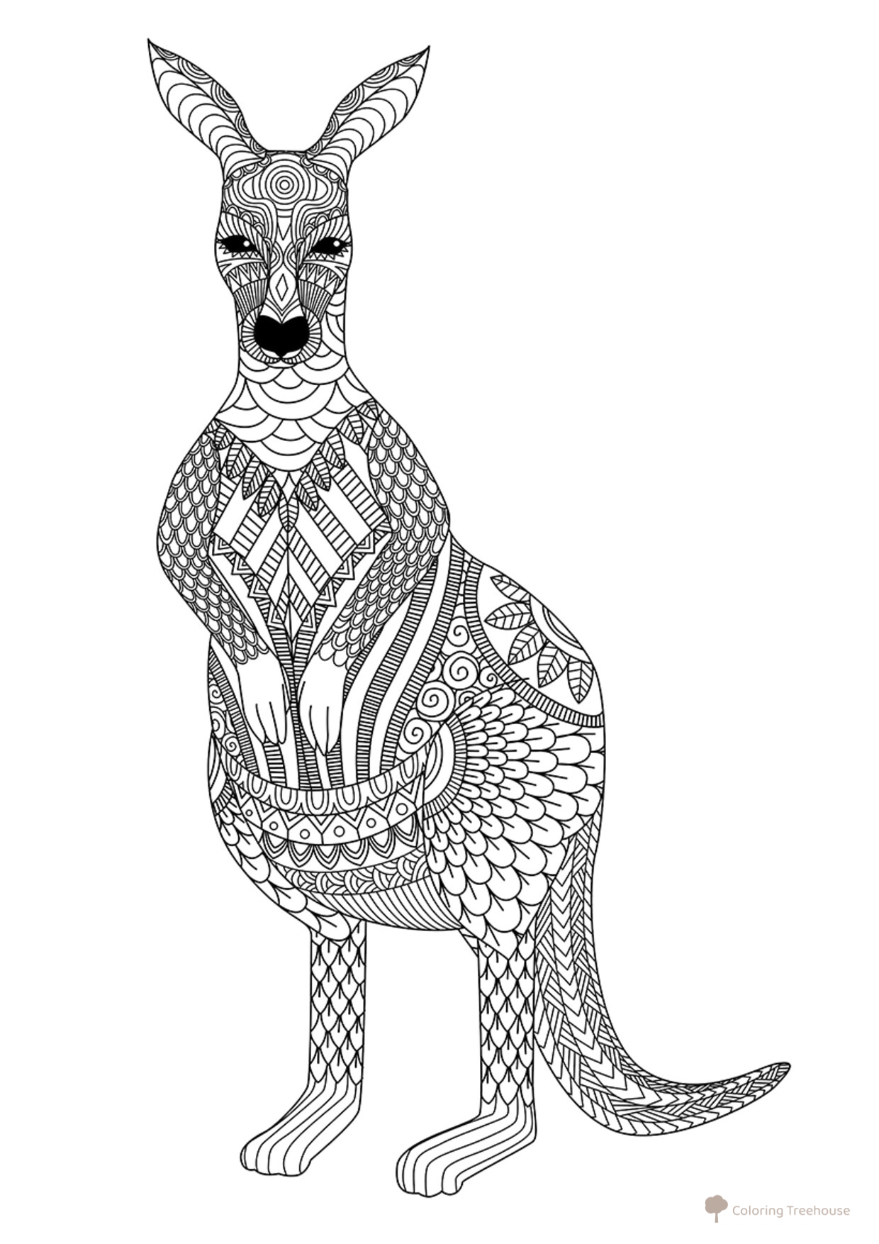 Kangaroo Coloring Page for Adults free printable Advanced Animal, Bird, Fish, and Insect Coloring Pages coloring page