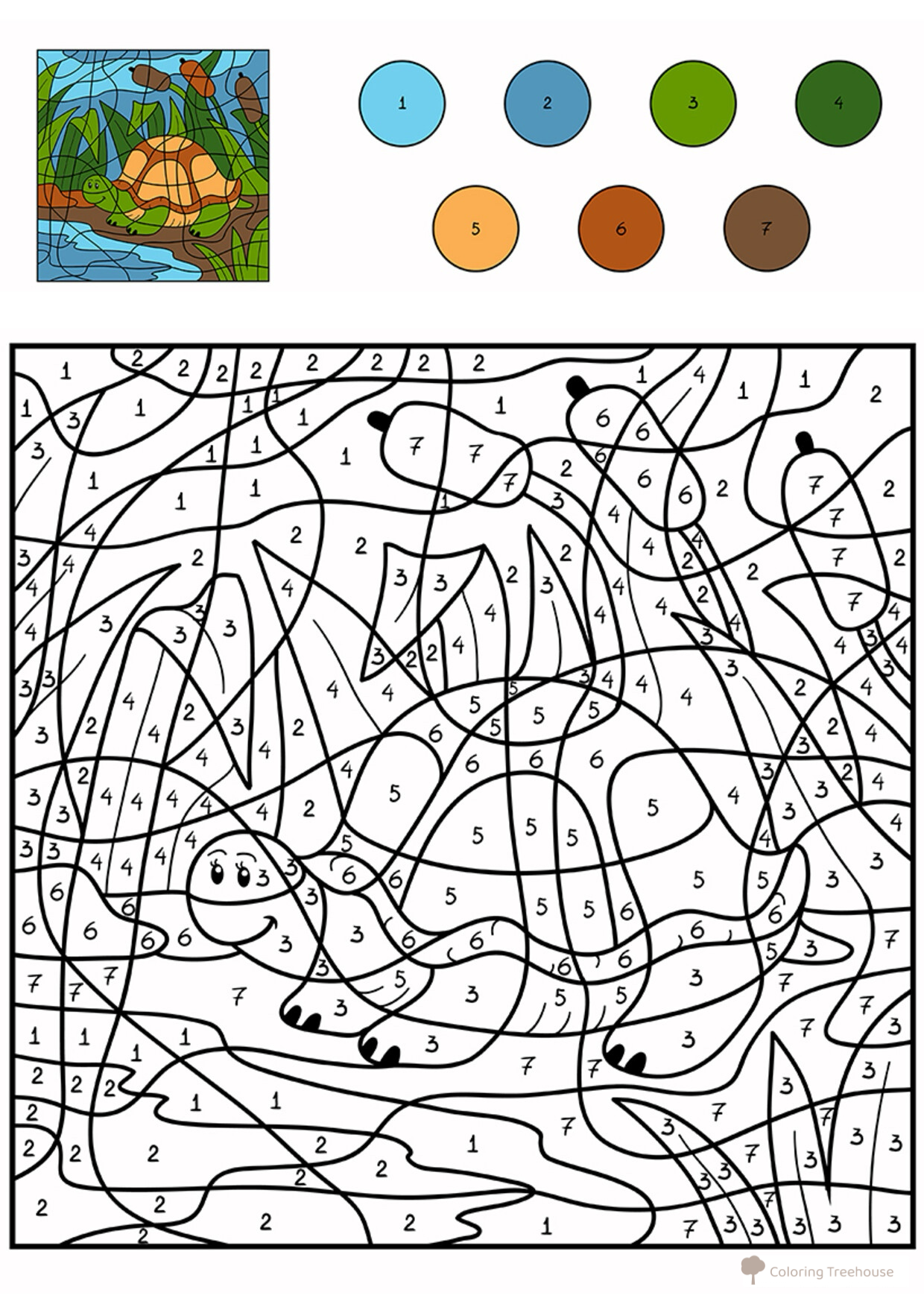 Página para colorear: Tortuga por números dibujo para colorear gratis de Colorear por números