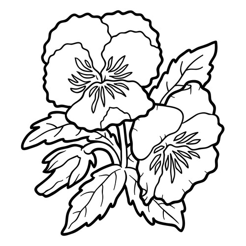 Pansy Coloring Page (Анютины глазки) free printable Flower Coloring Pages coloring page