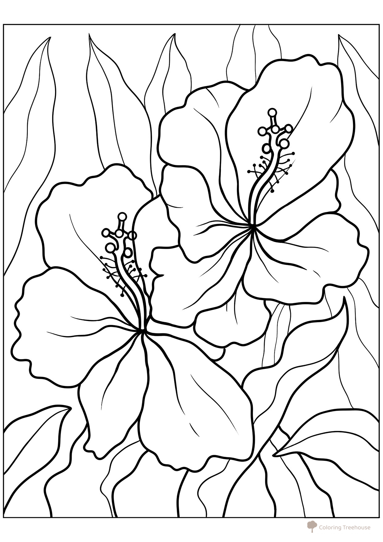 Large Hibiscus Among Leaves — Coloring Page free printable Flower Coloring Pages coloring page
