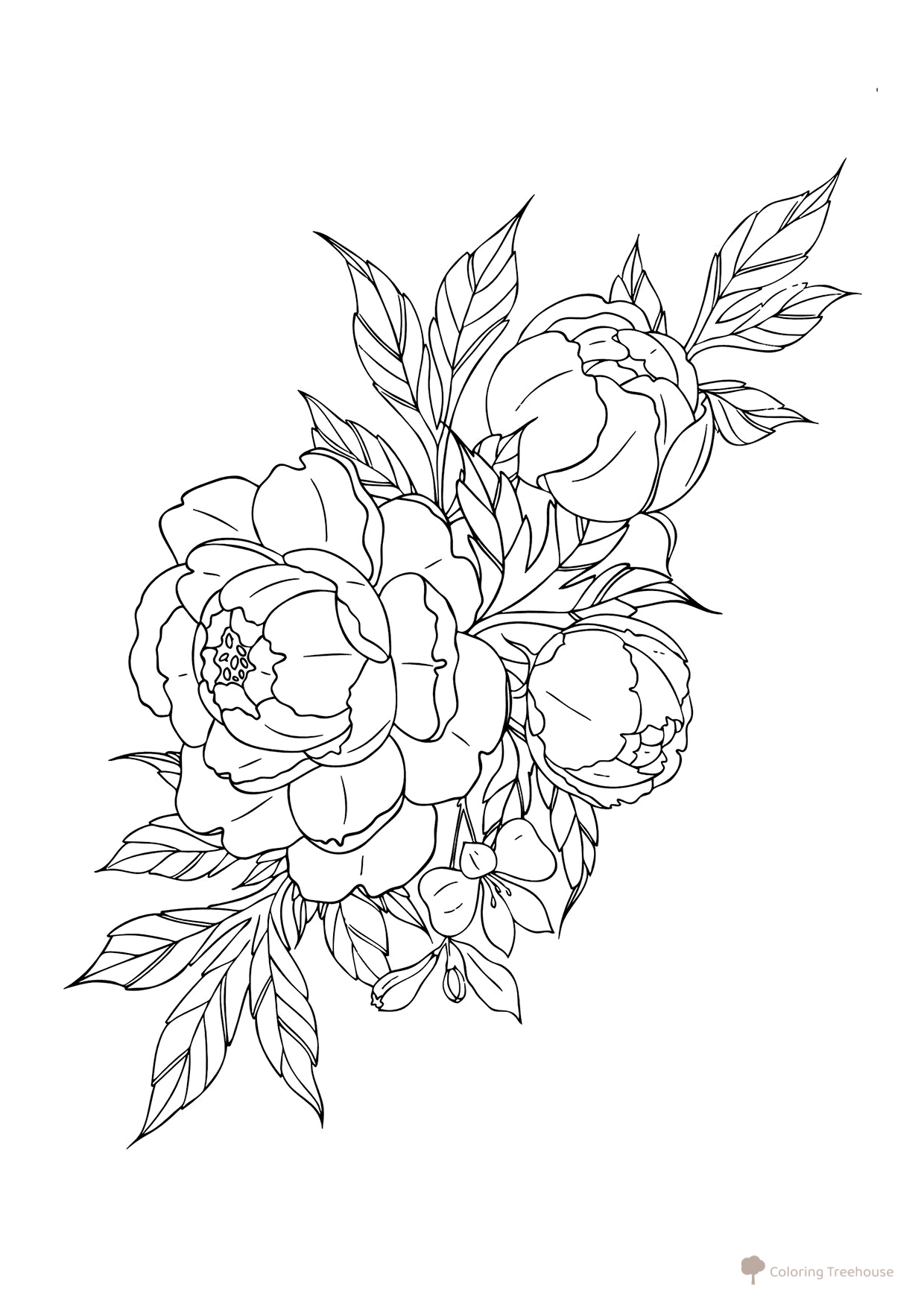 Peony Bouquet Coloring Page free printable Flower Coloring Pages coloring page