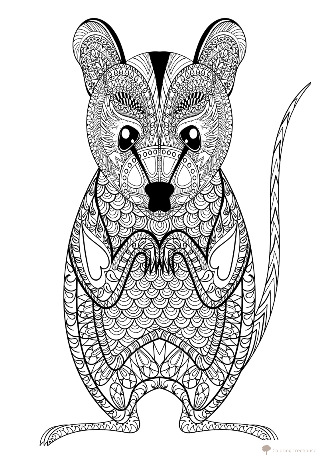 Página para colorear: Zarigüeya dibujo para colorear gratis de Complejas y bellas hojas para colorear de animales, aves, peces e insectos