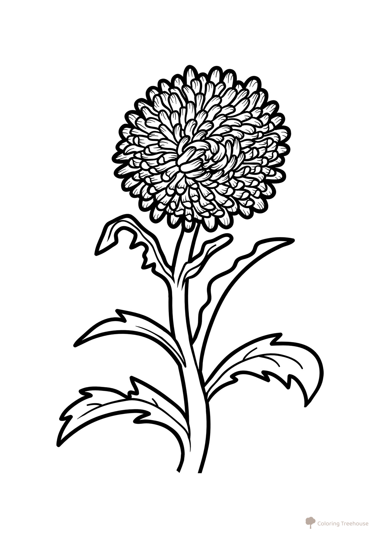 Aster Flower Coloring Page free printable Flower Coloring Pages coloring page