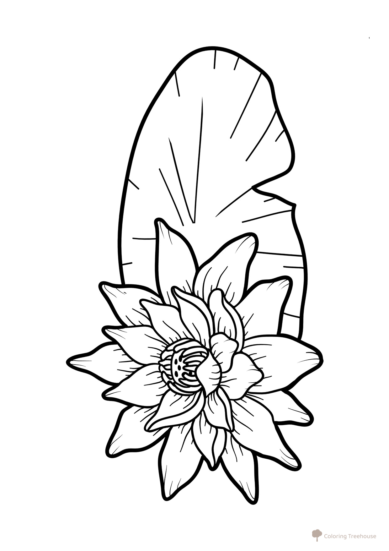 Printable Lotus Coloring Page free printable Flower Coloring Pages coloring page