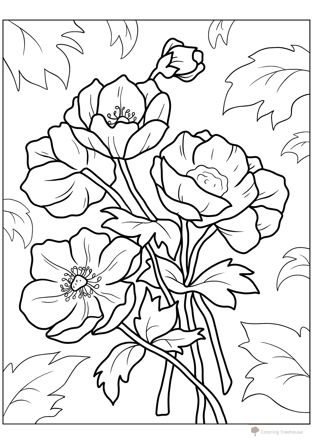 Poppy Anemones Coloring Page free printable Flower Coloring Pages coloring page