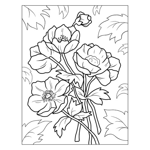 Páginas para colorear «Amapolas anémonas» dibujo para colorear gratis de Flower Coloring Pages