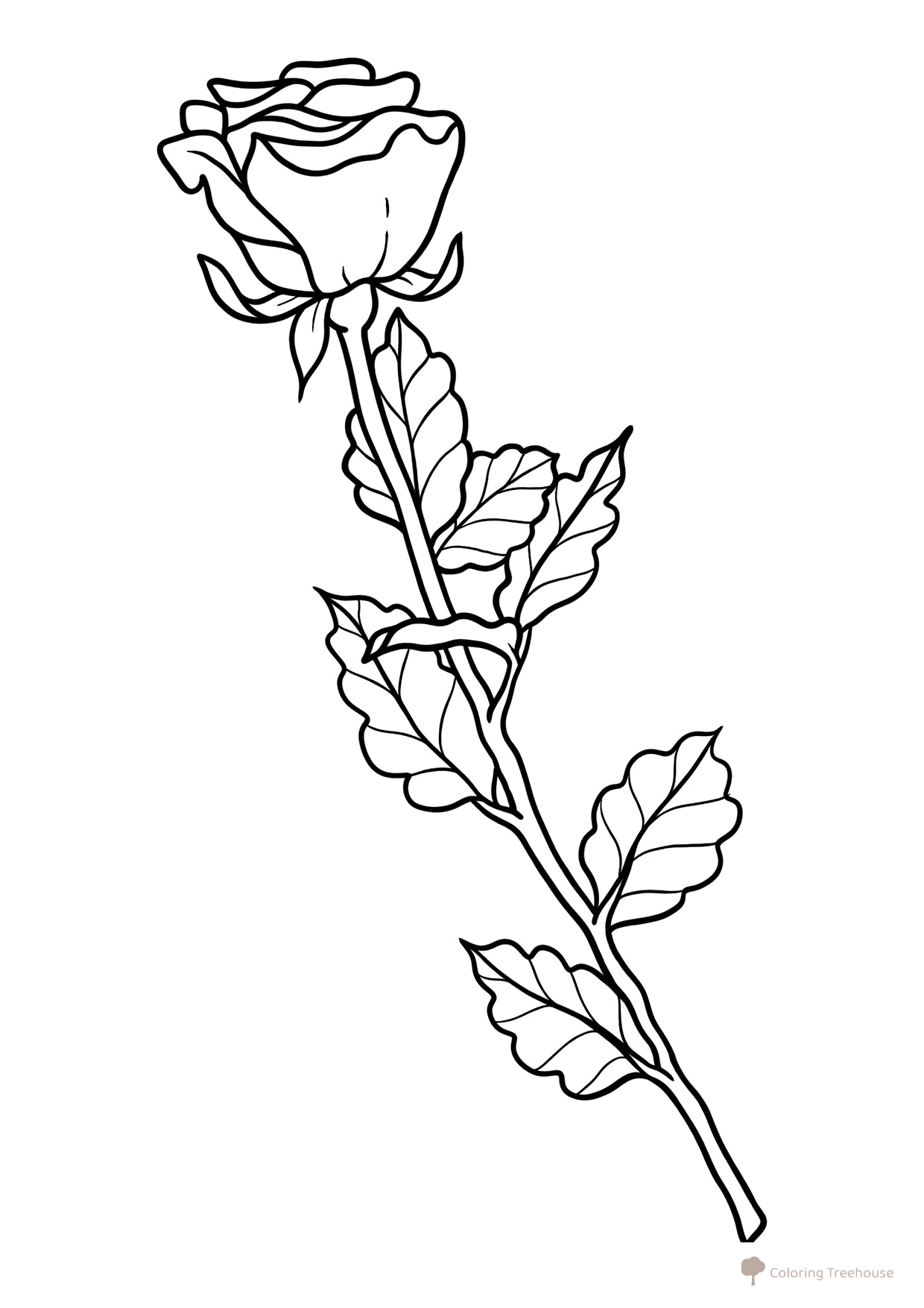 Beautiful Realistic Rose Coloring Page free printable Flower Coloring Pages coloring page