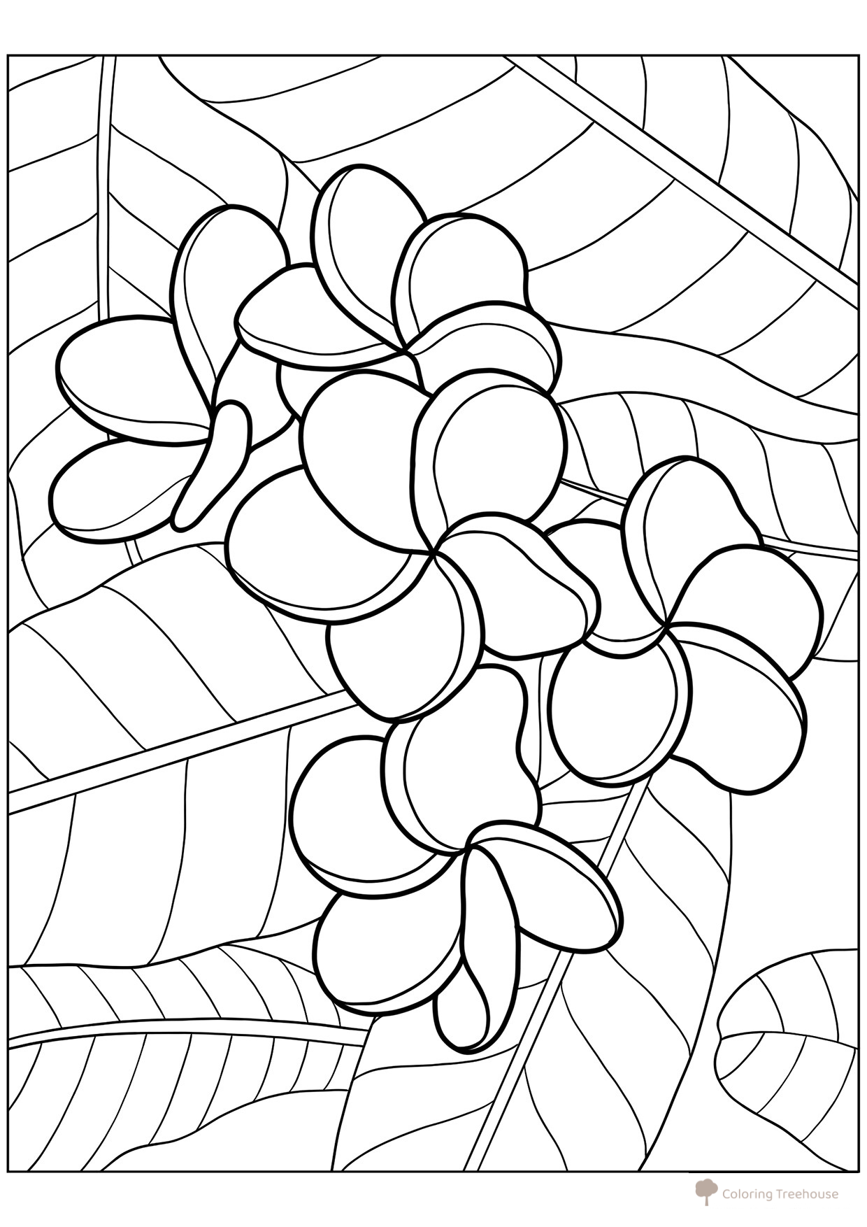 Plumeria on Large Leaves Coloring Page free printable Flower Coloring Pages coloring page