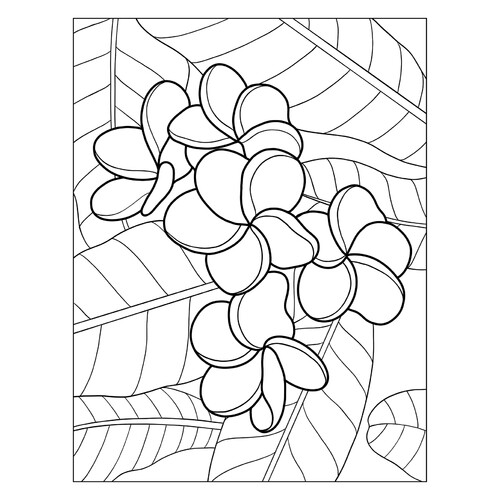 Plumeria on Large Leaves Coloring Page free printable Flower Coloring Pages coloring page