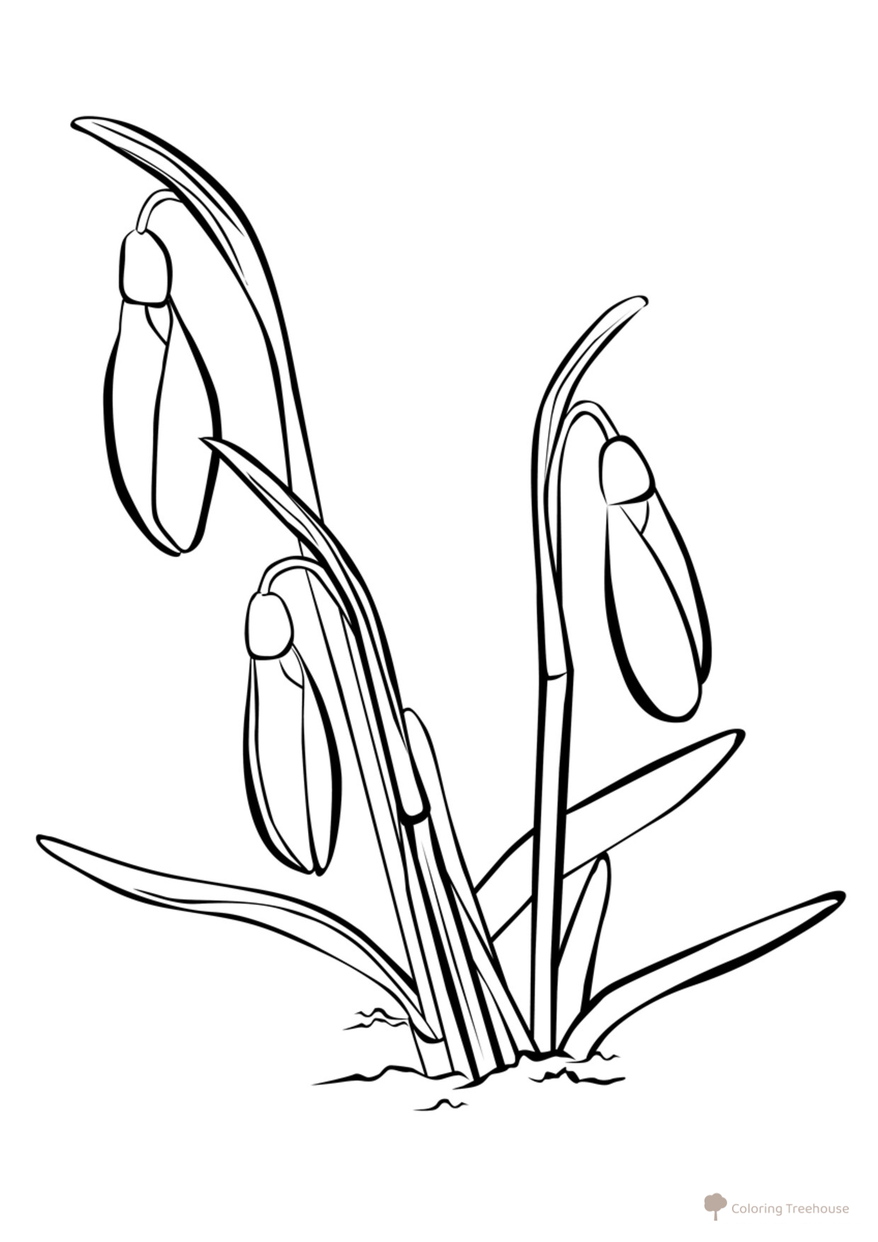 Snowdrop Coloring Page free printable Flower Coloring Pages coloring page