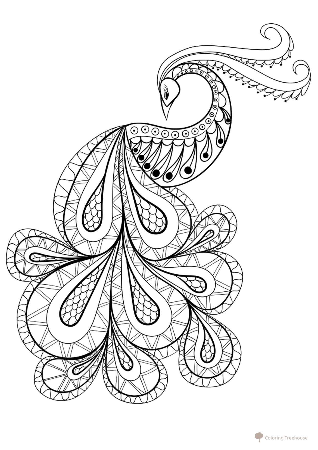 Pavo real con patrones complejos - página para colorear dibujo para colorear gratis de Complejas y bellas hojas para colorear de animales, aves, peces e insectos