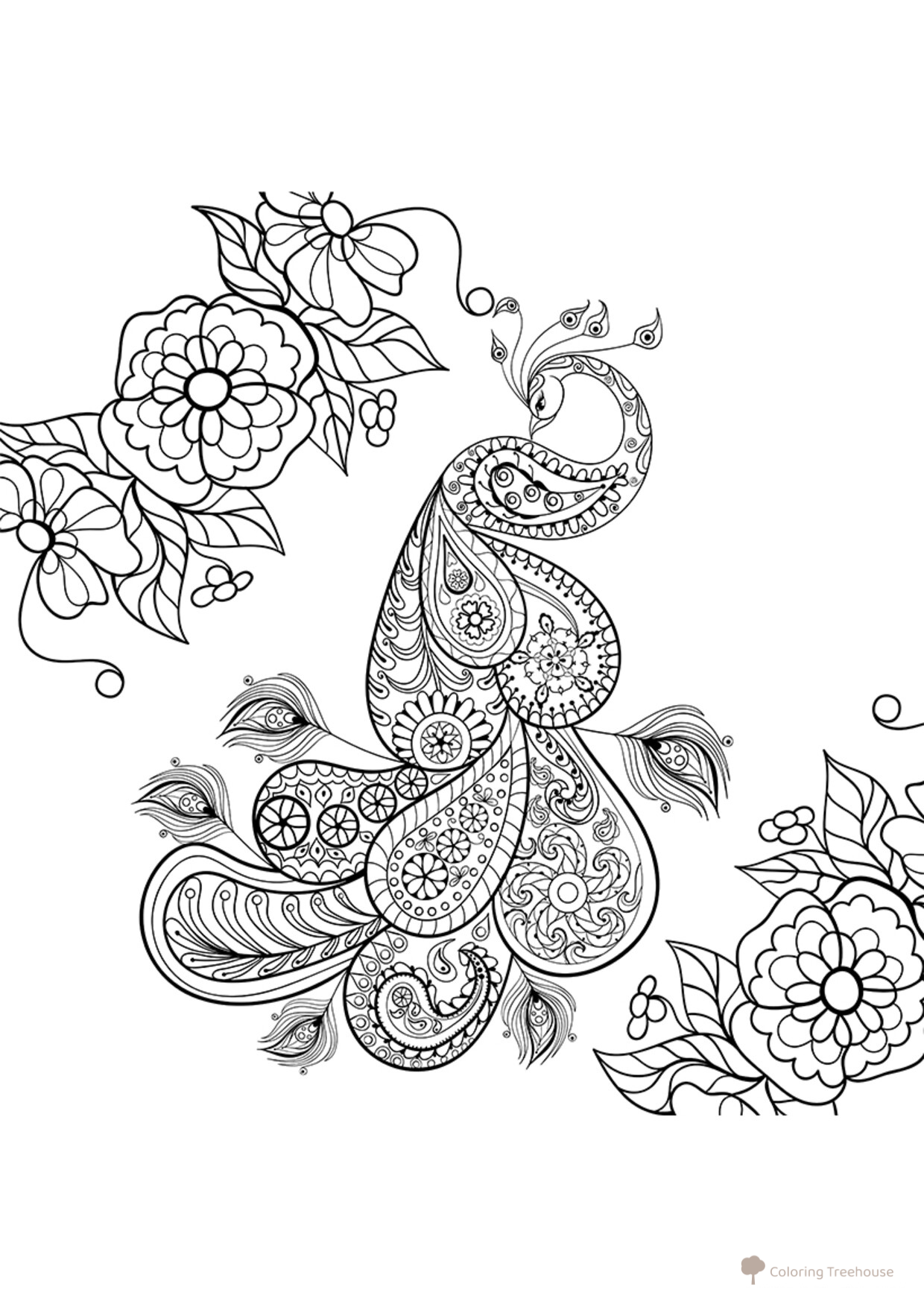 Pavo real en el jardín - página para colorear dibujo para colorear gratis de Complejas y bellas hojas para colorear de animales, aves, peces e insectos