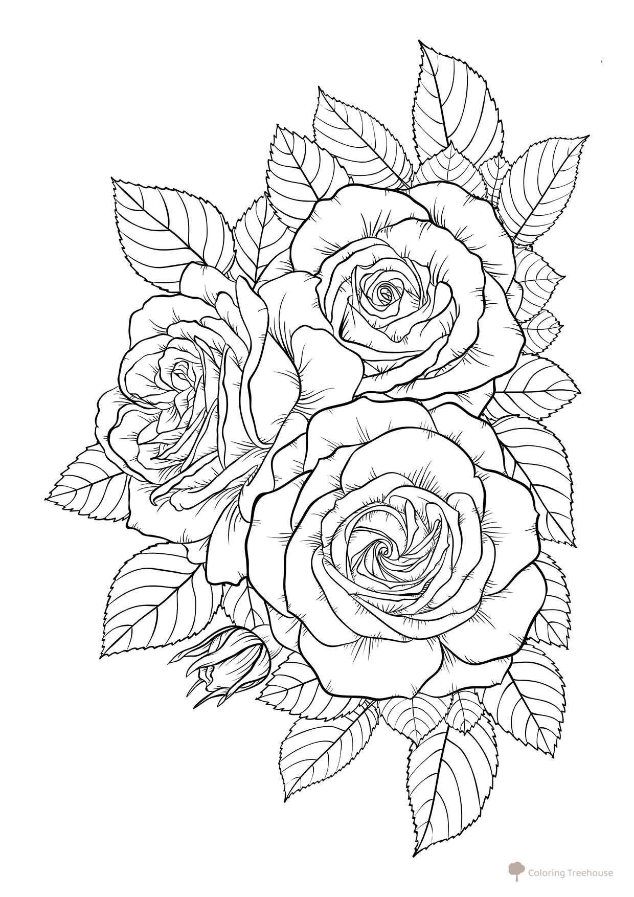 Three Roses Coloring Page free printable Flower Coloring Pages coloring page