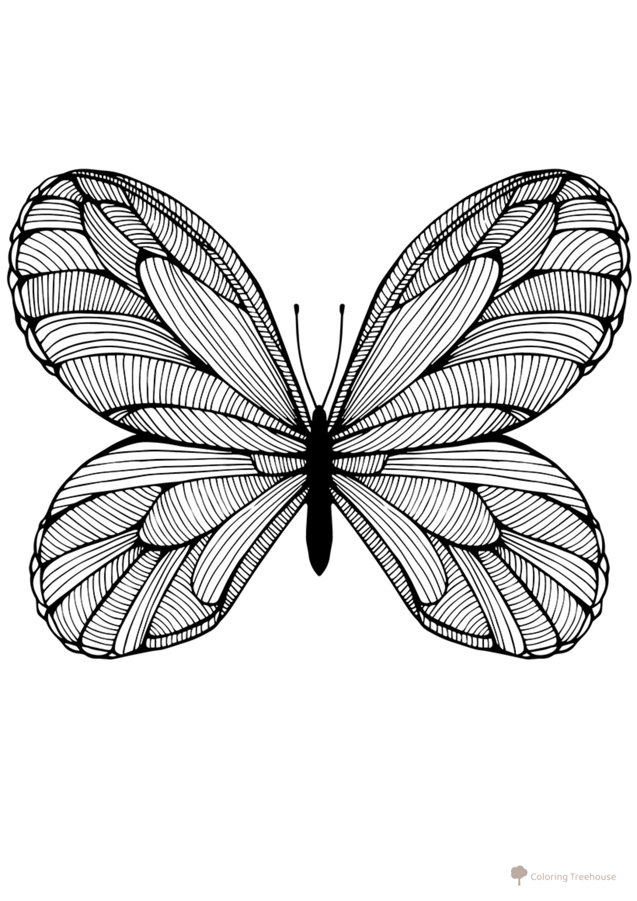 Página para colorear: Mariposa a rayas dibujo para colorear gratis de Complejas y bellas hojas para colorear de animales, aves, peces e insectos