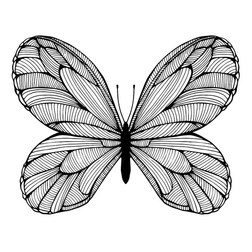 Página para colorear: Mariposa a rayas dibujo para colorear gratis de Complejas y bellas hojas para colorear de animales, aves, peces e insectos