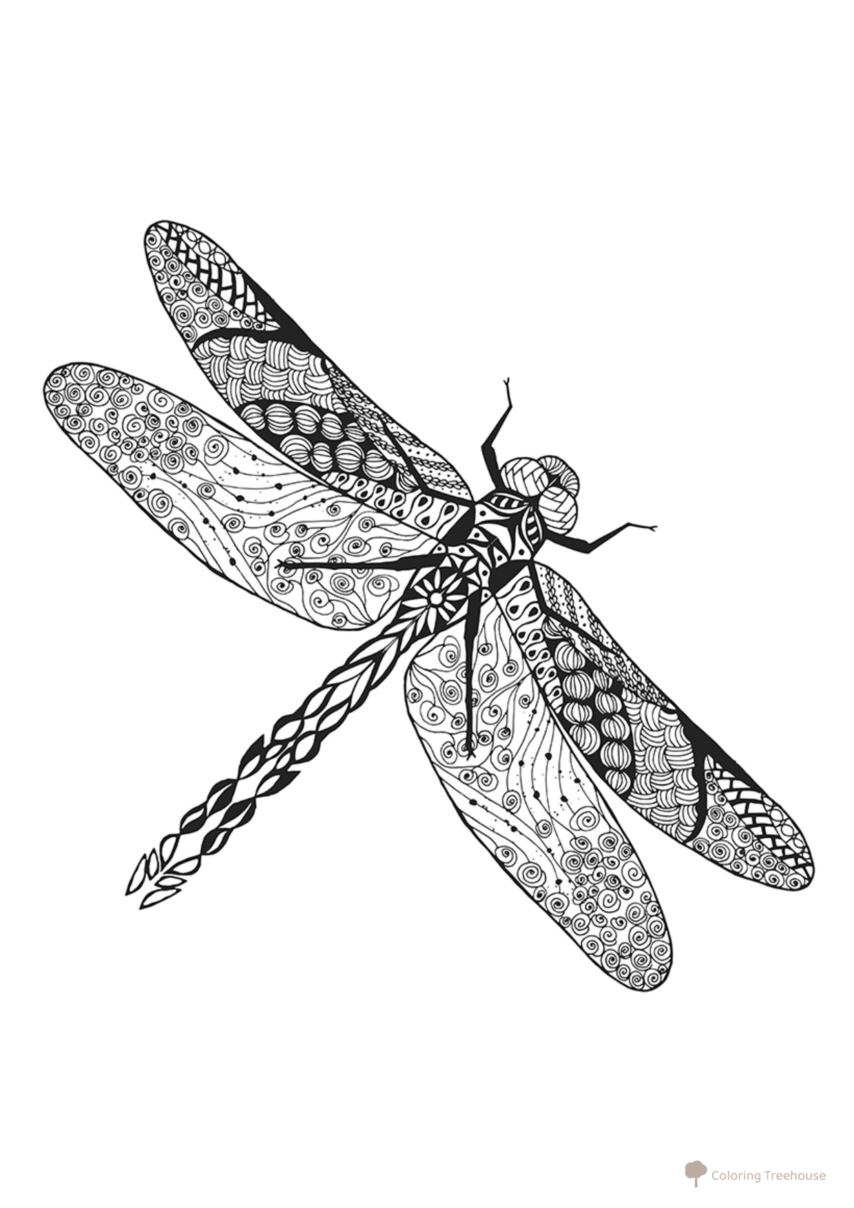 Dragonfly Coloring Page with Intricate Patterns free printable Advanced Animal, Bird, Fish, and Insect Coloring Pages coloring page