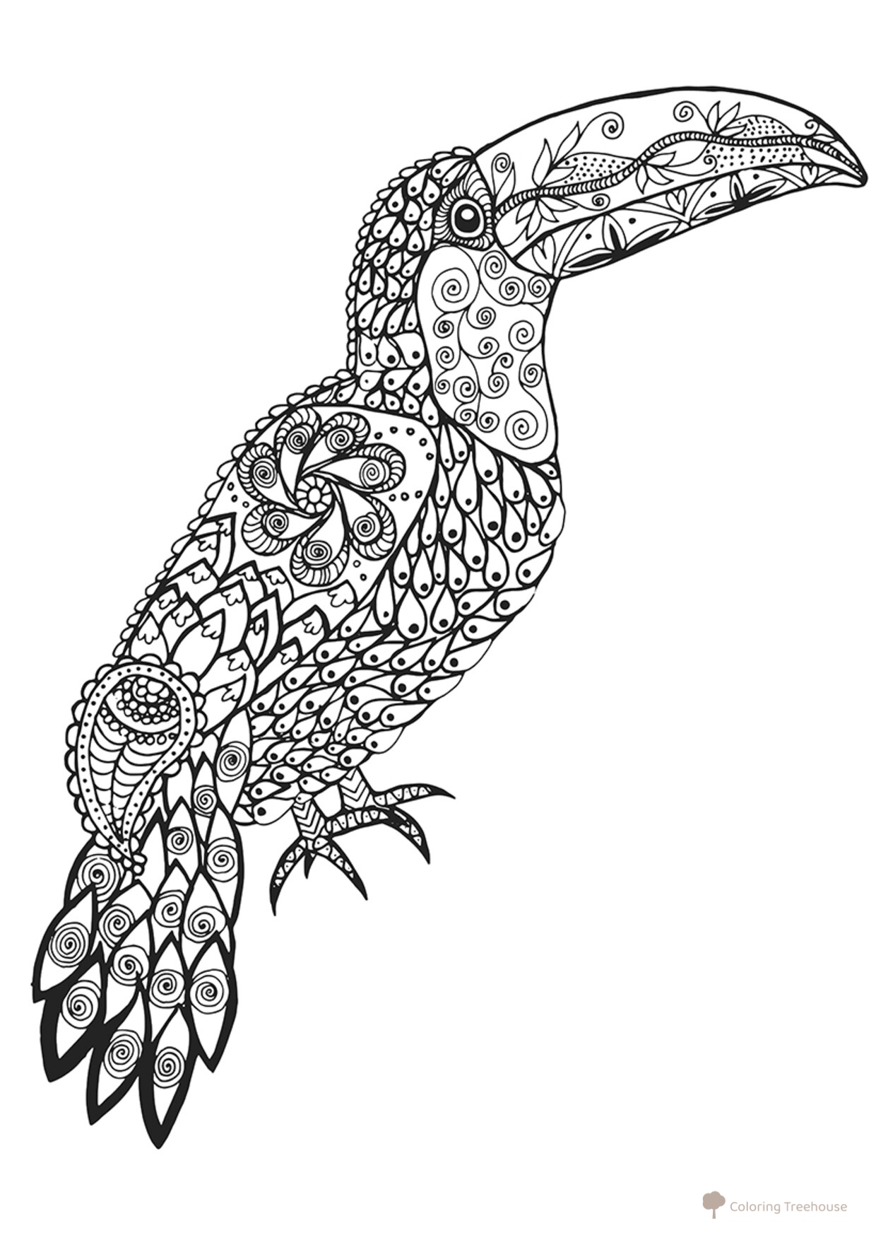 Página para colorear: Tucán dibujo para colorear gratis de Complejas y bellas hojas para colorear de animales, aves, peces e insectos