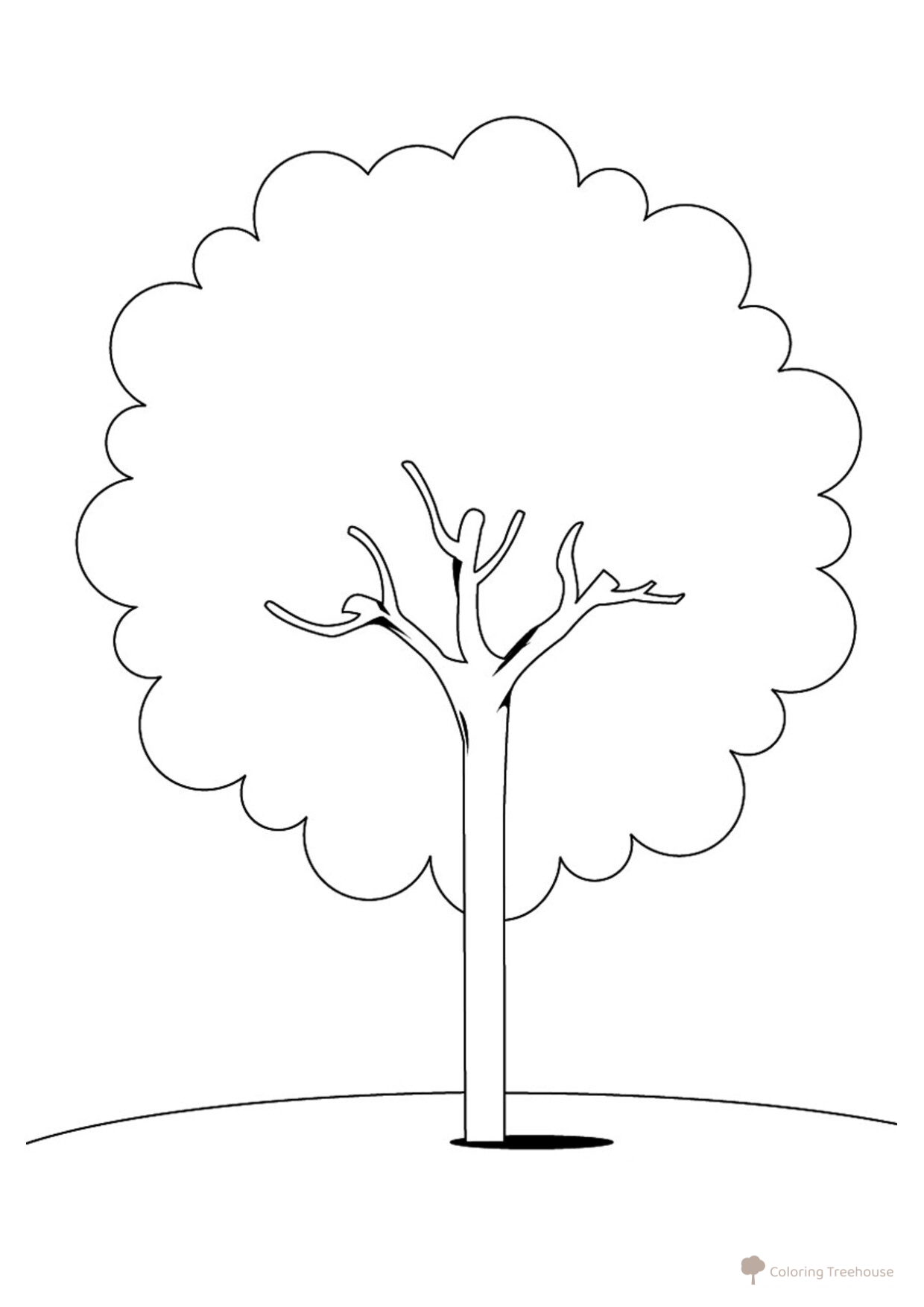 Página para colorear: Castaño dibujo para colorear gratis de Páginas para colorear de árboles