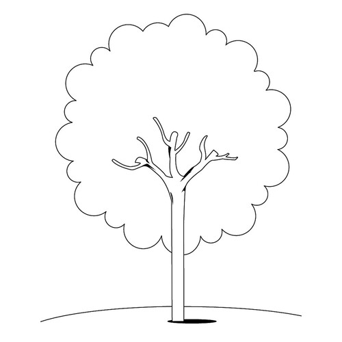 Página para colorear: Castaño dibujo para colorear gratis de Páginas para colorear de árboles
