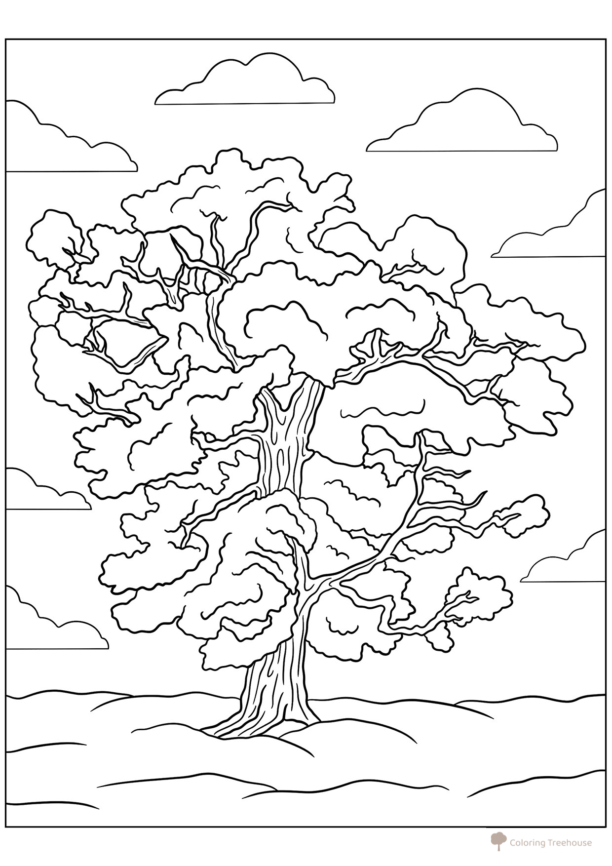 Página para colorear: Enorme árbol antiguo y majestuoso dibujo para colorear gratis de Páginas para colorear de árboles