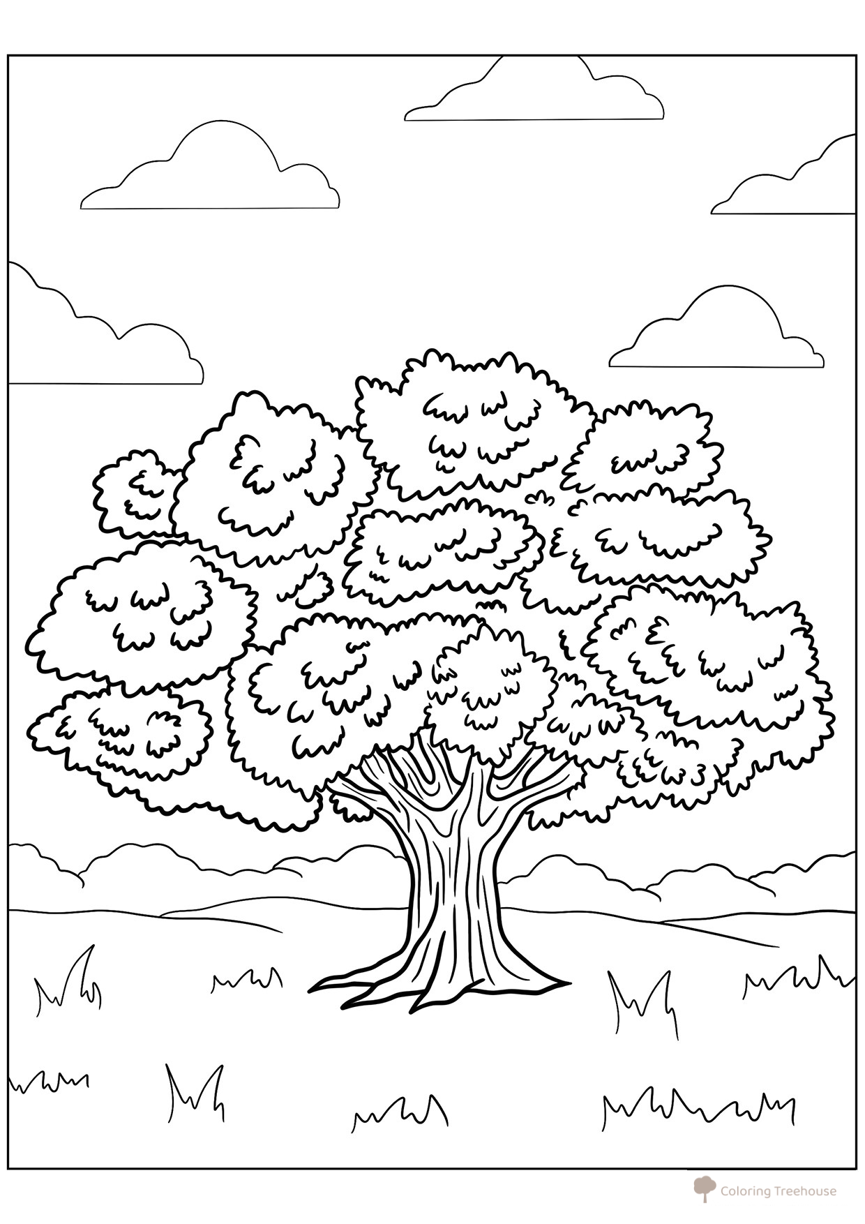 Página para colorear: Olmo (Vyaz) dibujo para colorear gratis de Páginas para colorear de árboles