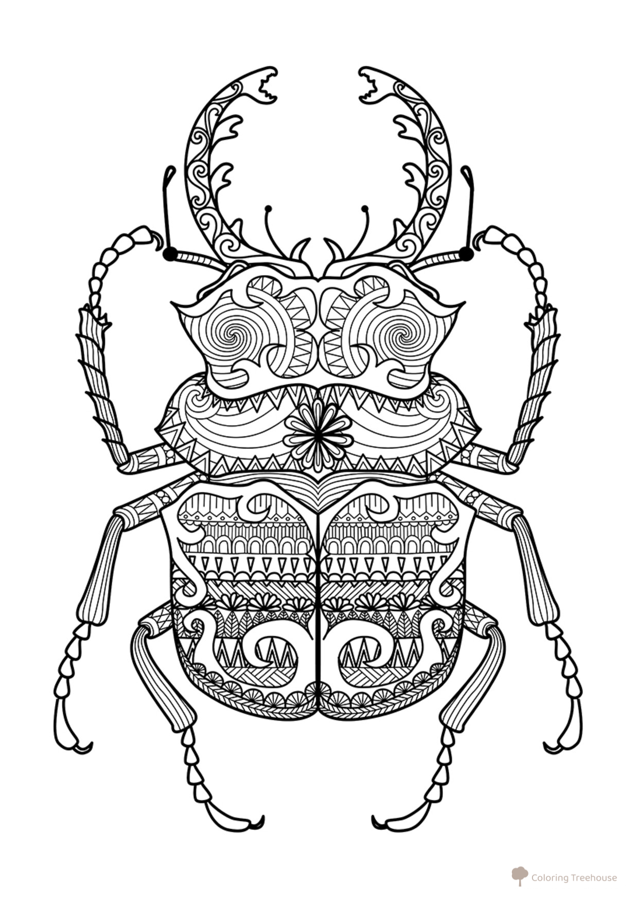 Beetle with Intricate Patterns Coloring Page free printable Advanced Animal, Bird, Fish, and Insect Coloring Pages coloring page