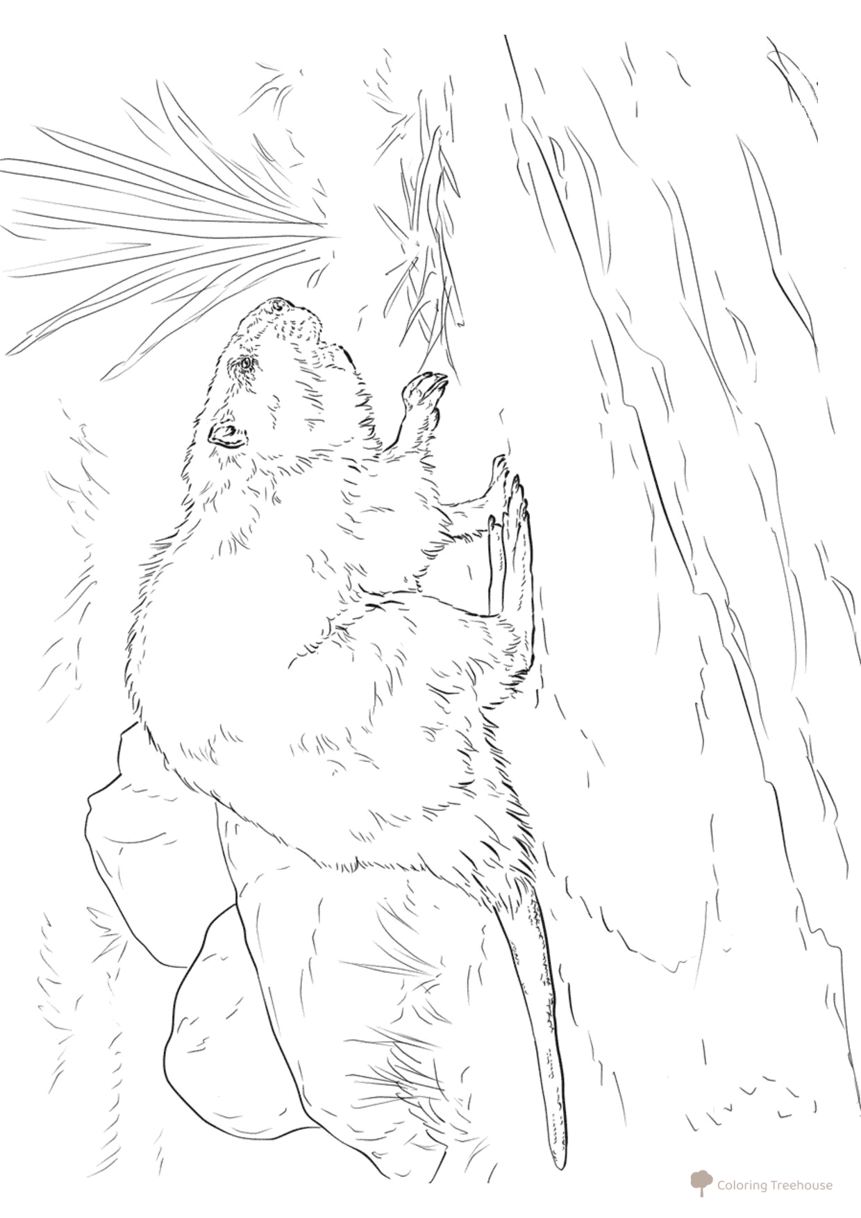 American Beaver Coloring Page free printable Wild Animal Coloring Pages coloring page