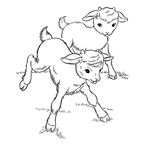 Página para colorear: Cabritos dibujo para colorear gratis de Páginas para colorear de animales domésticos