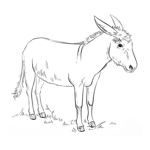 Página para colorear: Burro dibujo para colorear gratis de Páginas para colorear de animales domésticos
