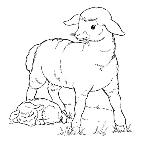 Ovejita con corderito - página para colorear dibujo para colorear gratis de Páginas para colorear de animales domésticos