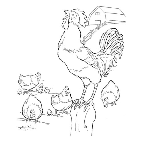 Páginas para colorear: Gallo y gallinas dibujo para colorear gratis de Páginas para colorear de animales domésticos