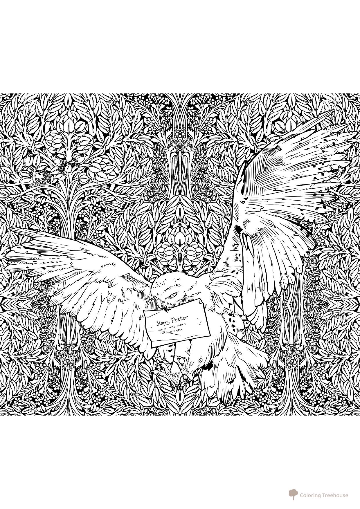 Libro para colorear antiestrés Hedwig dibujo para colorear gratis de Harry Potter Coloring Pages