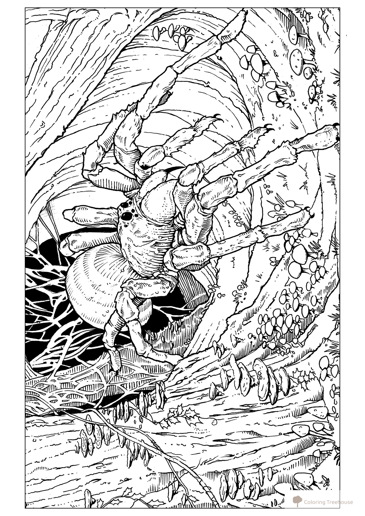 Página para colorear del araña parlante Aragog dibujo para colorear gratis de Harry Potter Coloring Pages