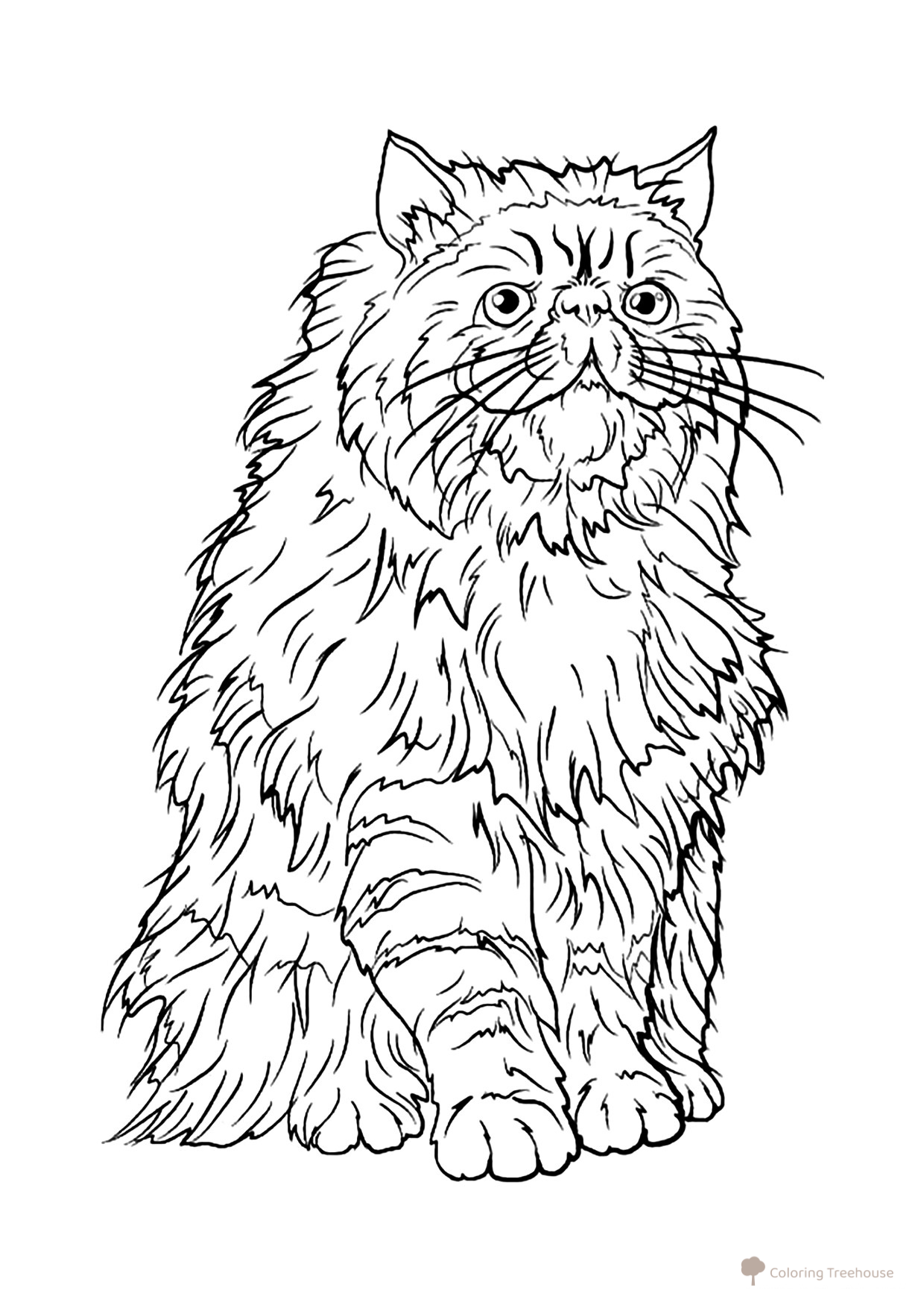 Página para colorear Krukshenk — el gato de Hermione dibujo para colorear gratis de Harry Potter Coloring Pages