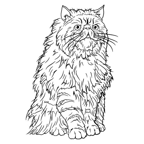 Página para colorear Krukshenk — el gato de Hermione dibujo para colorear gratis de Harry Potter Coloring Pages