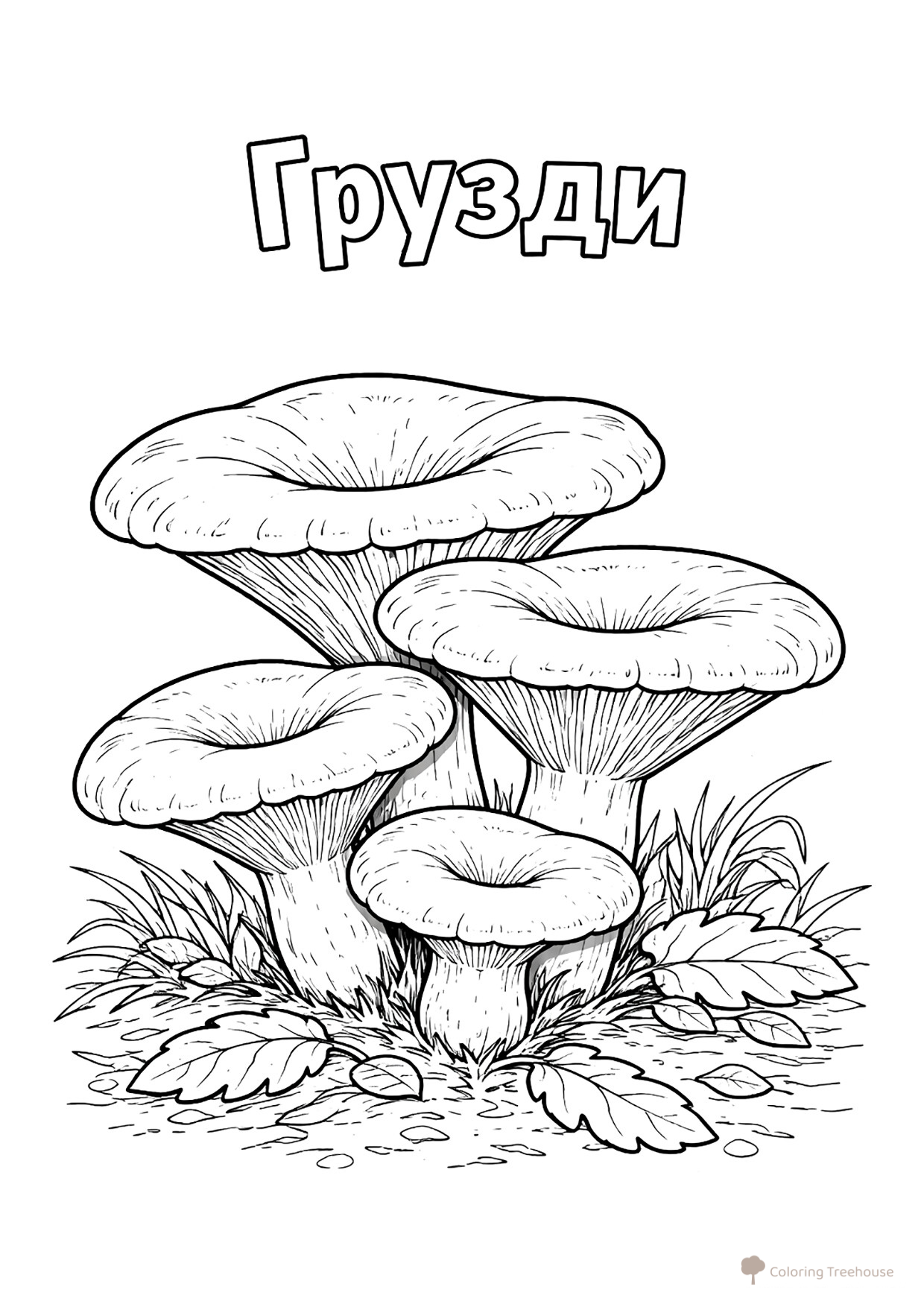 Gruzdi (Milkcap) Coloring Page free printable Mushroom Coloring Pages coloring page