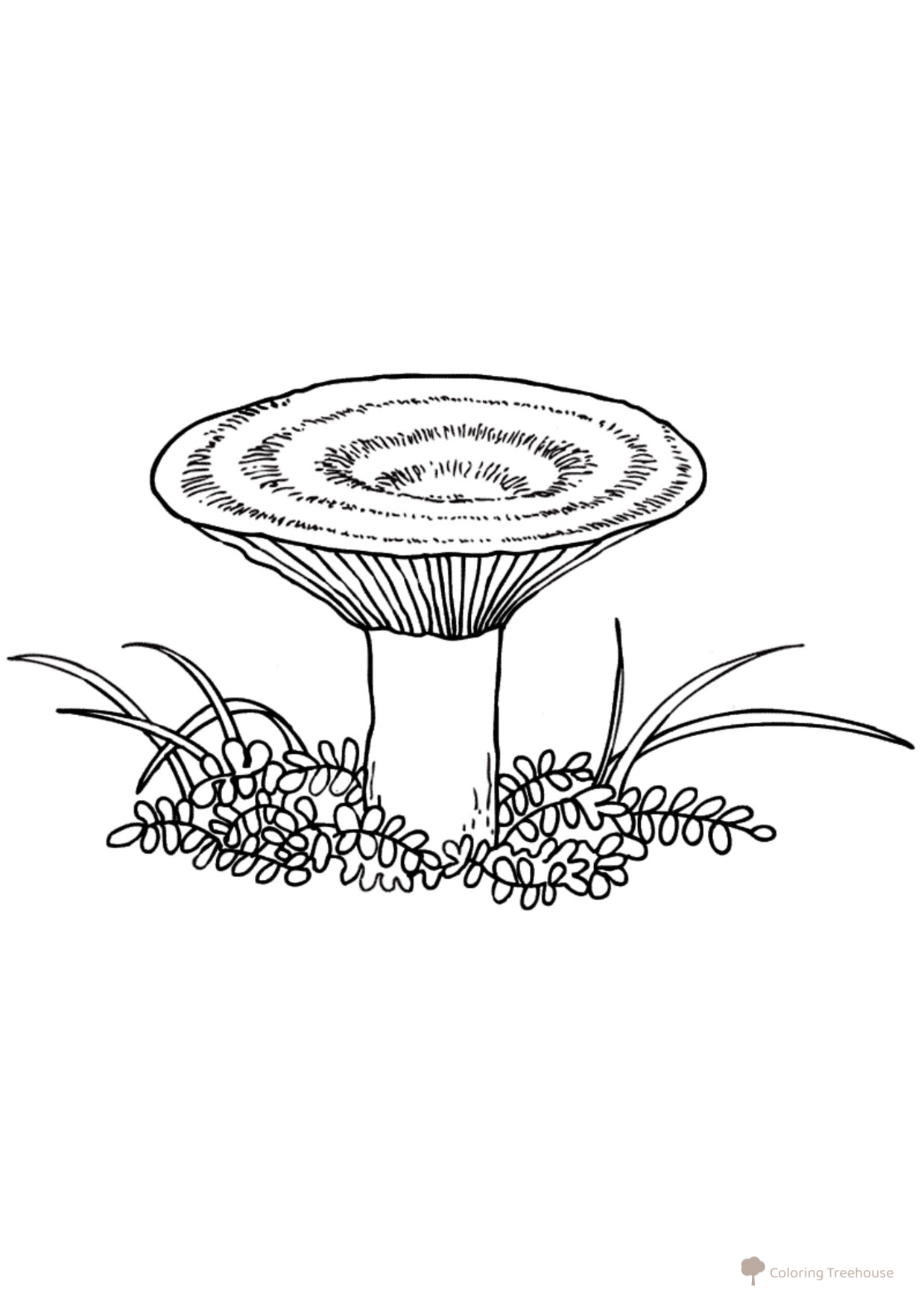 Russula Mushroom Coloring Page free printable Mushroom Coloring Pages coloring page