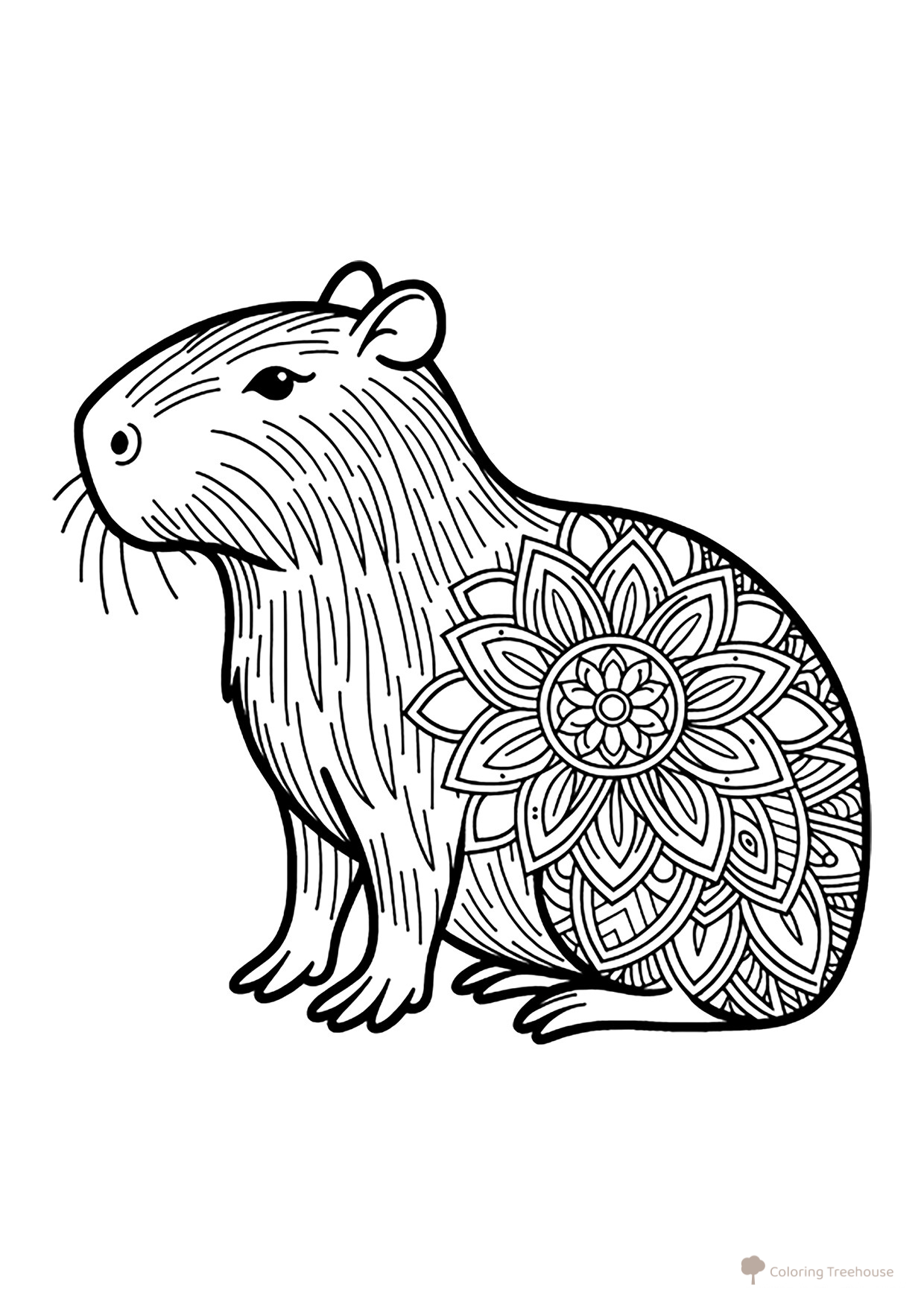 Página para colorear «Capibara con flor (antiestrés)» dibujo para colorear gratis de Hojas para colorear de capibara