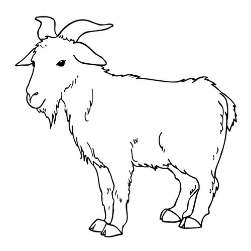 Goat Coloring Page free printable Goat and Sheep Coloring Pages coloring page
