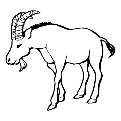 Baby Goat Coloring Page free printable Goat and Sheep Coloring Pages coloring page