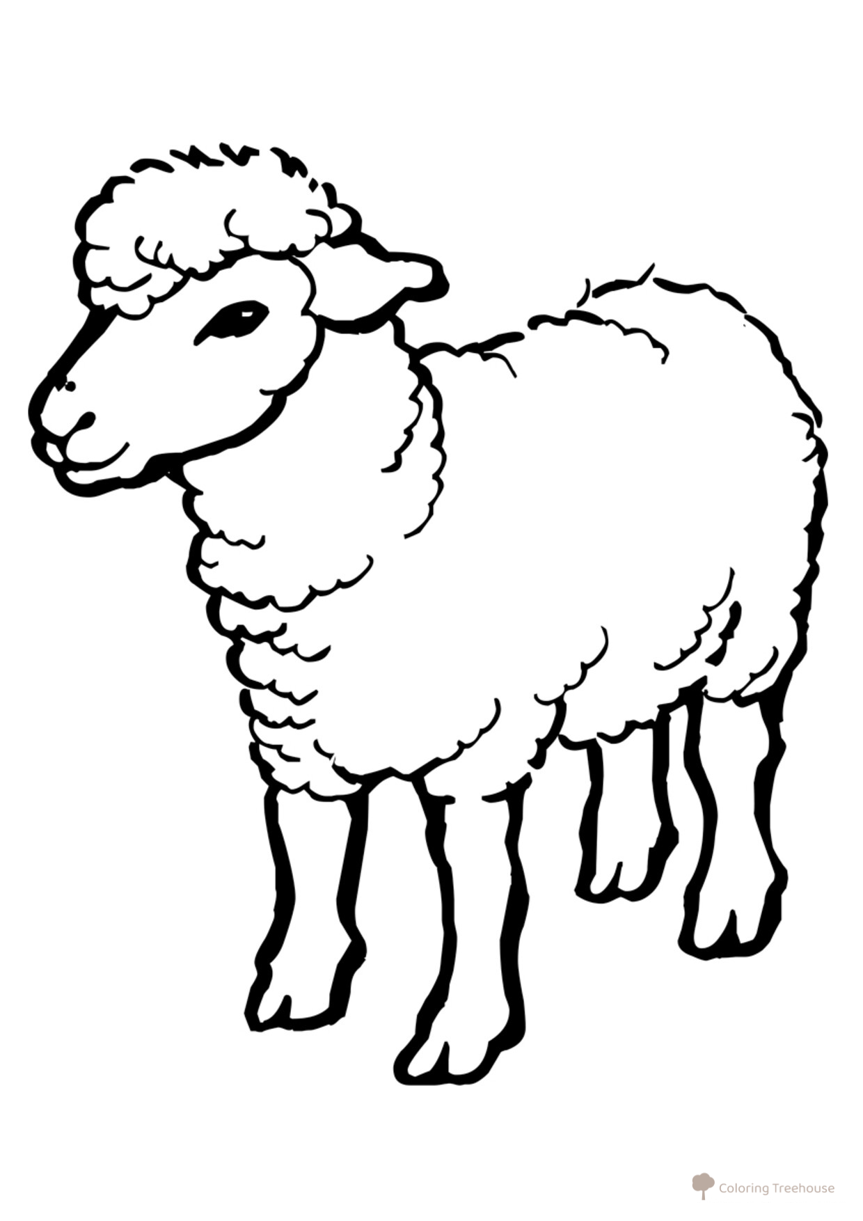 Página para colorear: Oveja dibujo para colorear gratis de Páginas para colorear de cabras y ovejas