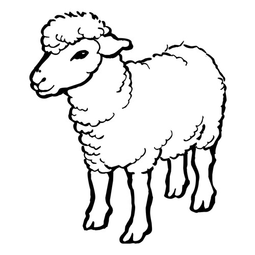 Página para colorear: Oveja dibujo para colorear gratis de Páginas para colorear de cabras y ovejas