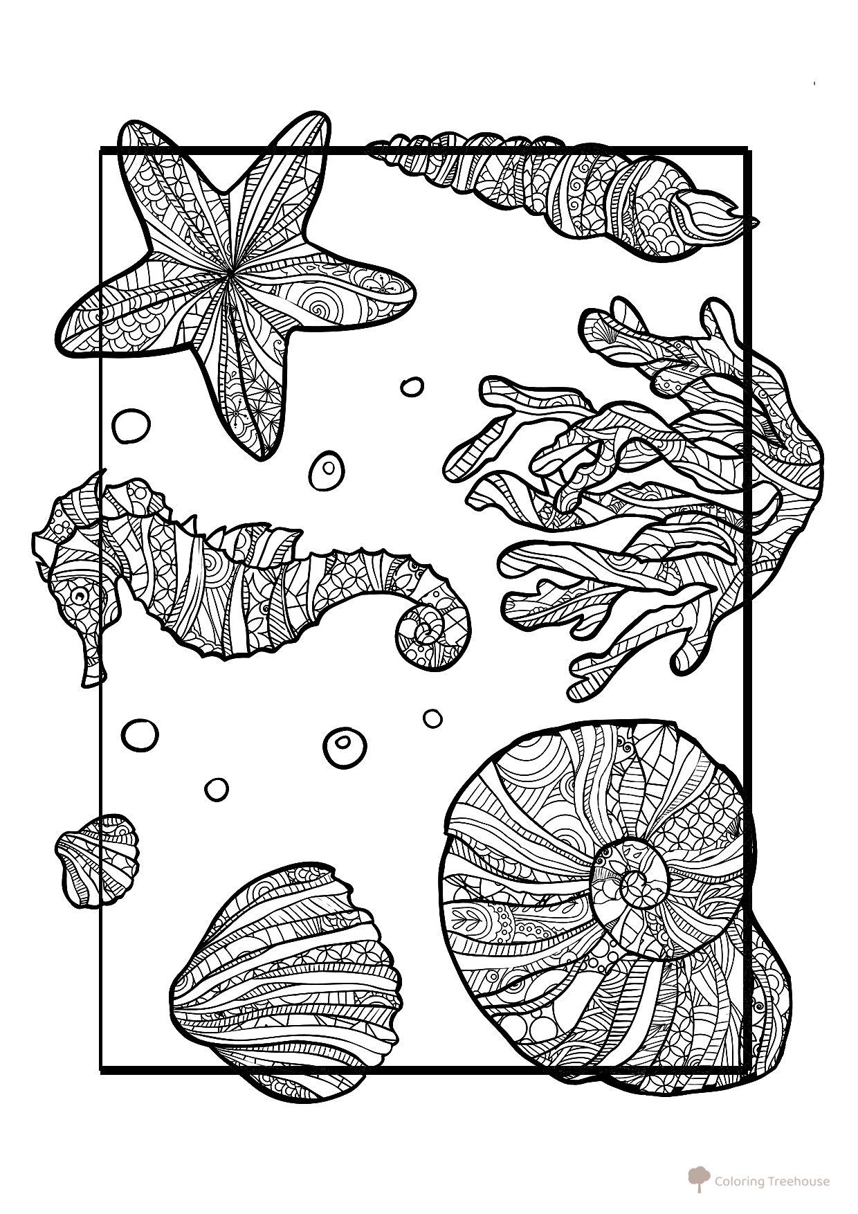 Seashells Anti-Stress Coloring Page free printable Summer Coloring Pages coloring page